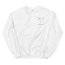 Load image into Gallery viewer, Capricorn Constellation Sweatshirt