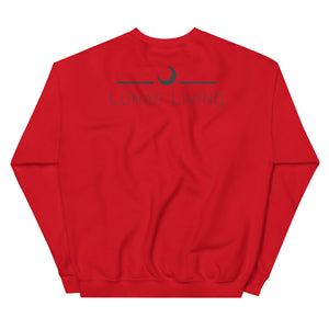 Aries Constellation Sweatshirt