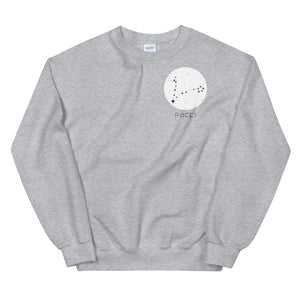 Pisces Constellation Sweatshirt